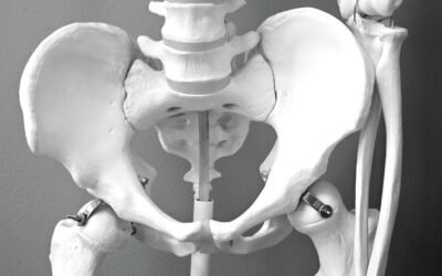 Les idées reçues sur l&rsquo;ostéopathie